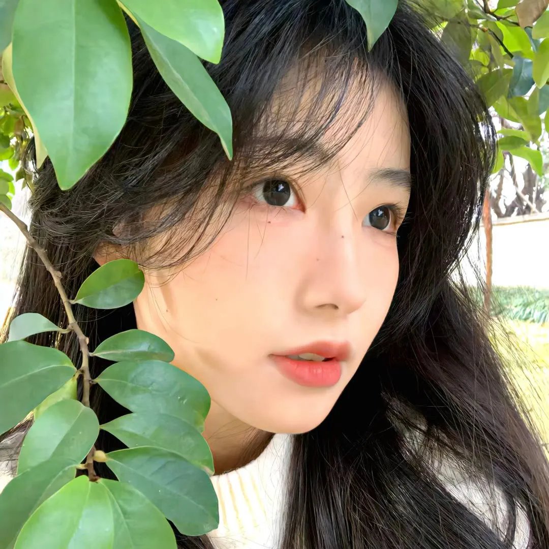 情逆三世缘国语
